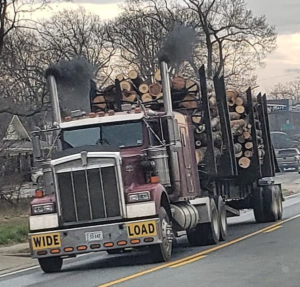 Random truck pics - Page 2 - SCS Software