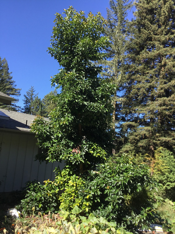 0690BBE7-6BB0-4E11-A8A2-CB494B8E6D1D