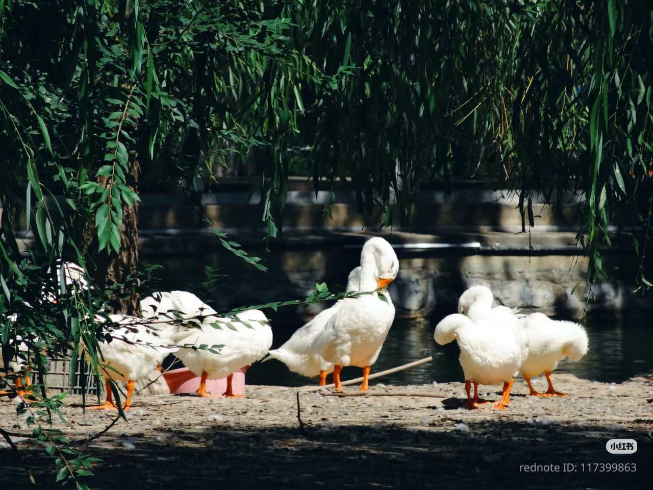 photo 7 2025 12 12 16 30 14