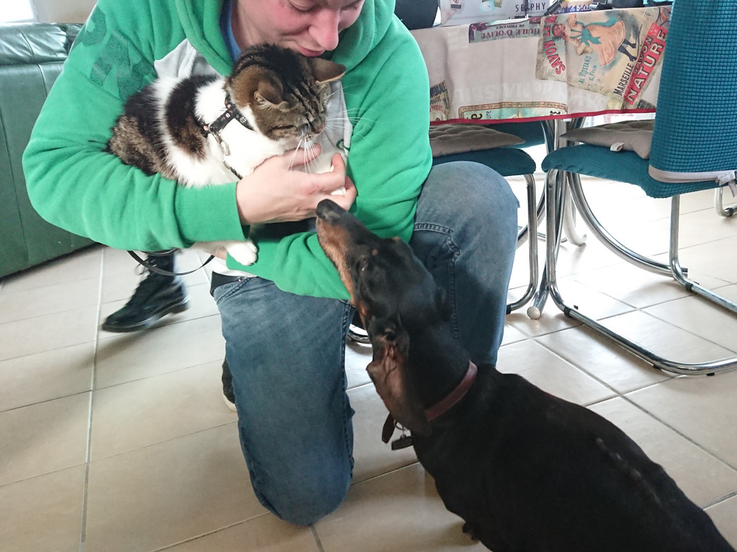 [Image: DSCPDC-0003-BURST20230422191637200-COVER.jpg]