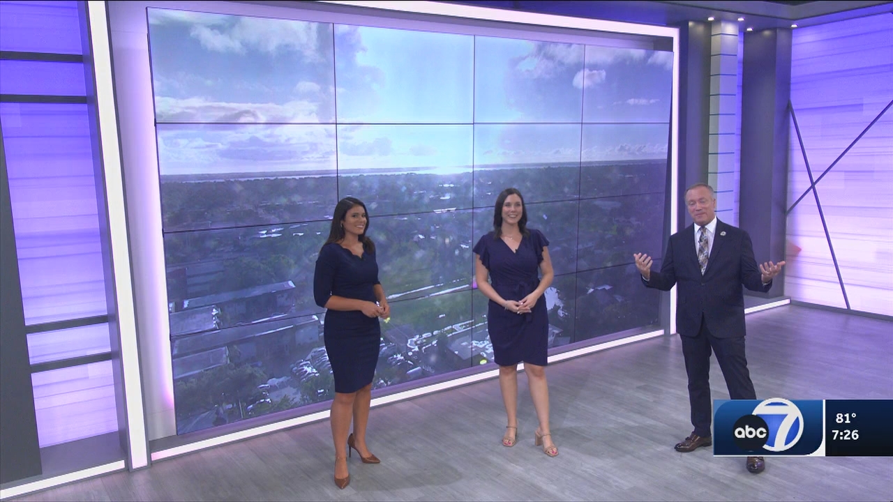06.14 - 00.00.00 - ABC7 7O'Clock News  ᴺᵉʷ. No Description Info.ts_snapshot_29.13.172
