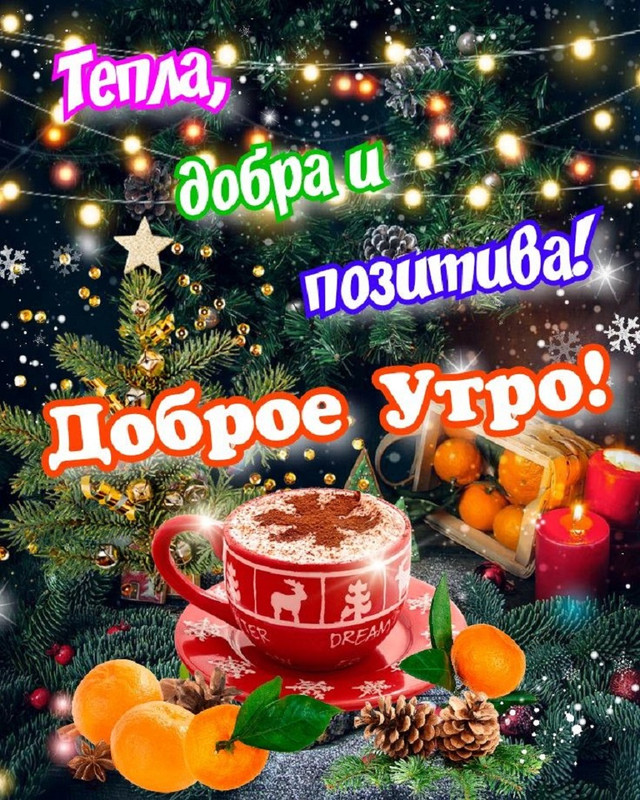 https://i.postimg.cc/Dzq0BCvf/IMG-2c7cc7ff5201ae0e7a312e701052a964-V.jpg