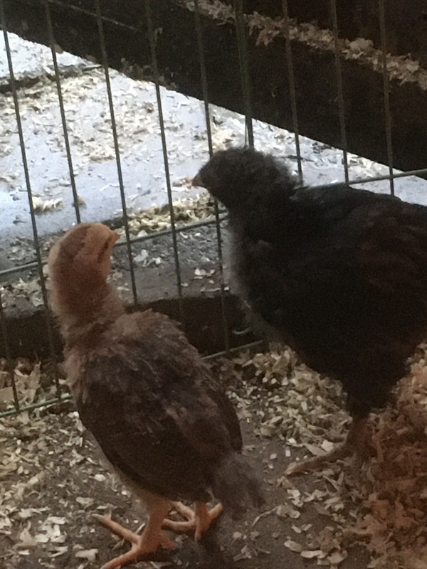 18907023-1028-4EEA-B18D-B3EF89449CBE