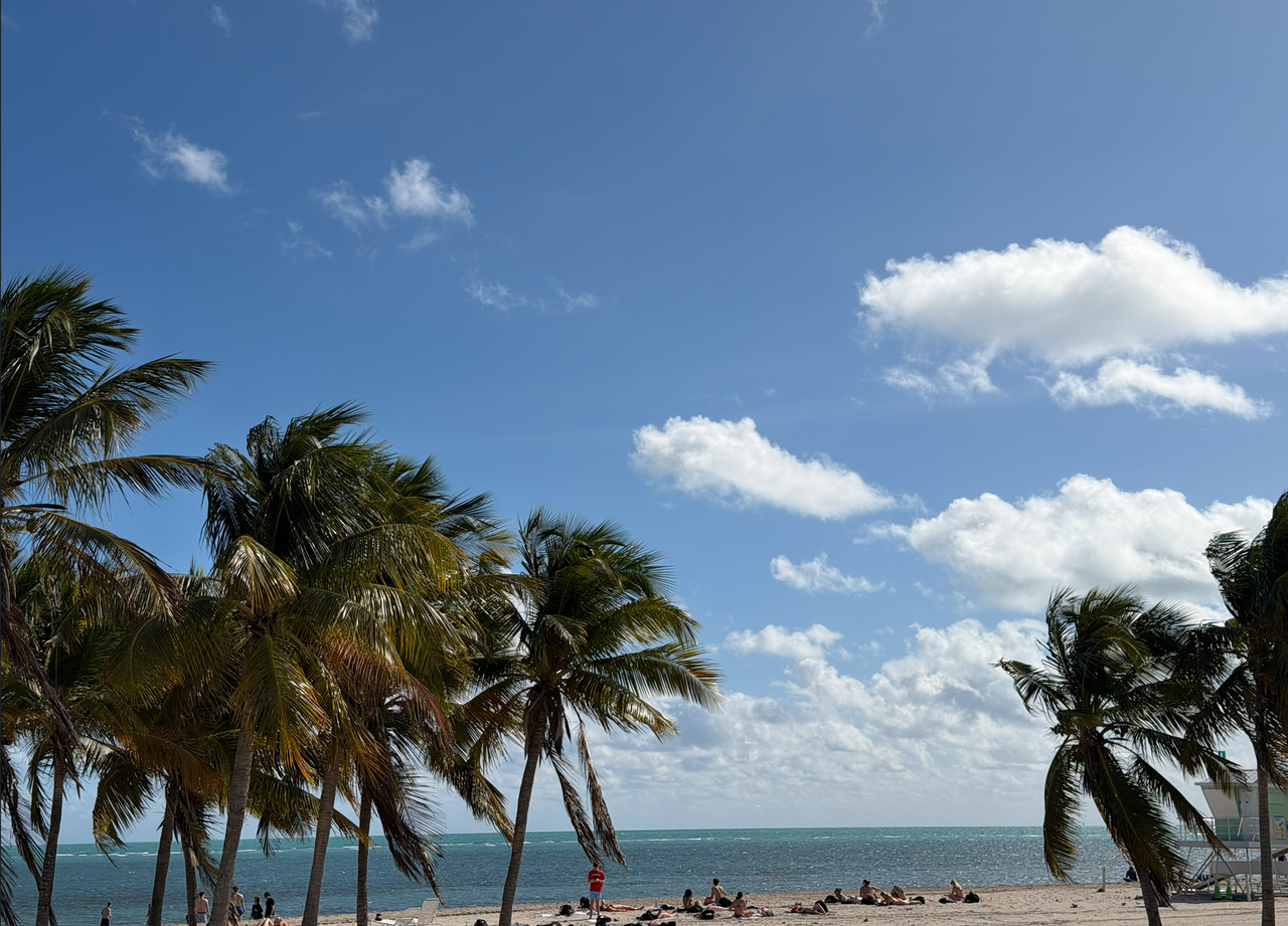 [Image: Crandon-Beach-On-Key-Biscayne3.png]