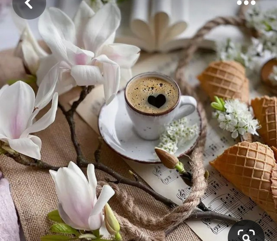 Screenshot_20230508_231940_Pinterest