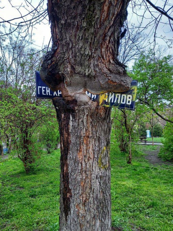 Naturaleza-14