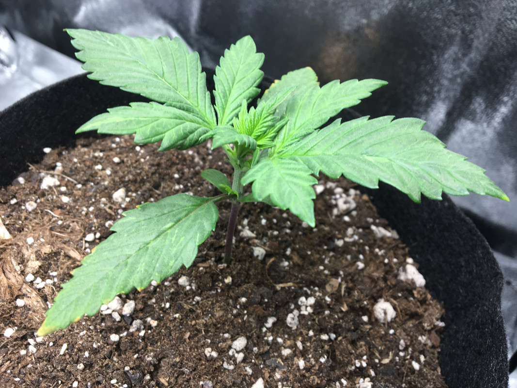 9E30CE0F-A0B3-461A-89C9-23EE0986E2DC