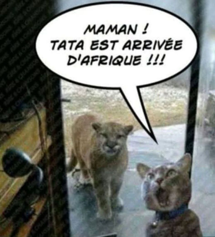 WhatsApp Image 2025-04-23 at 15.37.44 (1)