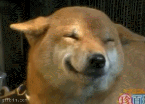 gif.gif