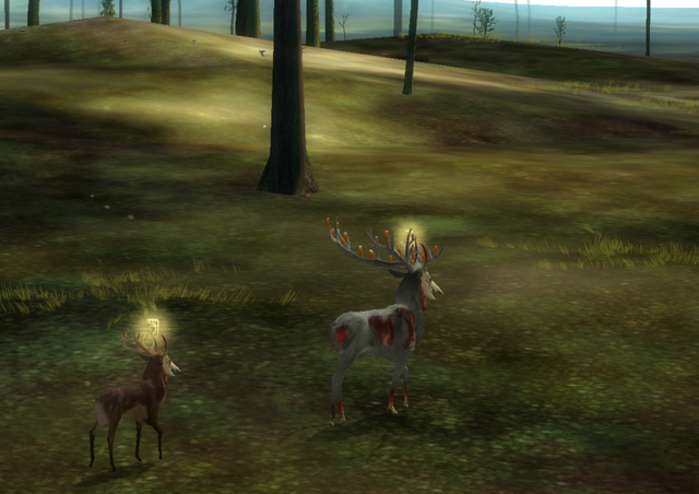 image-3-Widmung-and-Whisperings-1