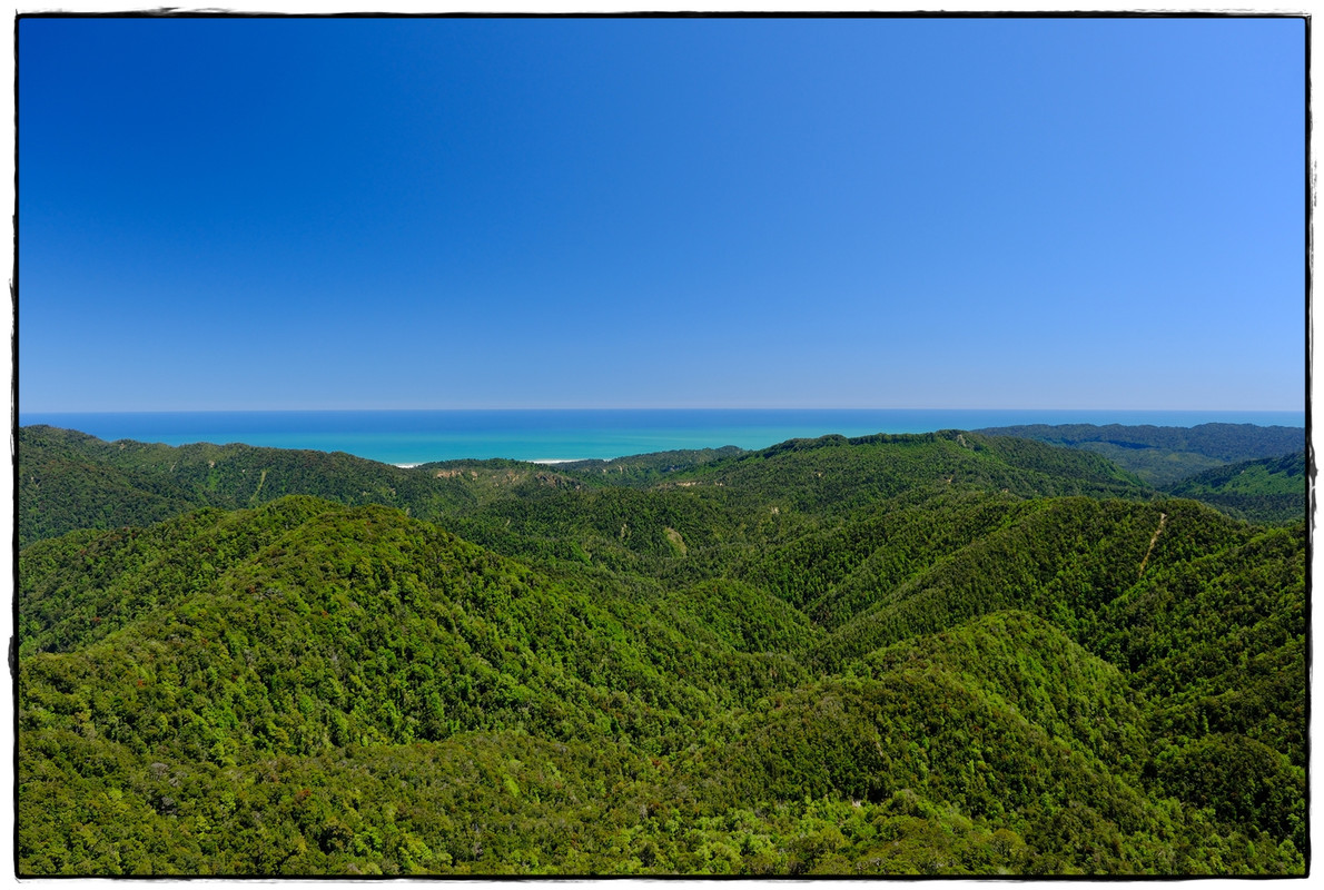 Paparoa NP: Paparoa Track (diciembre 2024) - Escapadas y rutas por la Nueva Zelanda menos conocida (36)