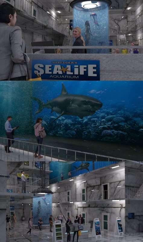 Shredder's Sealife Aquarium