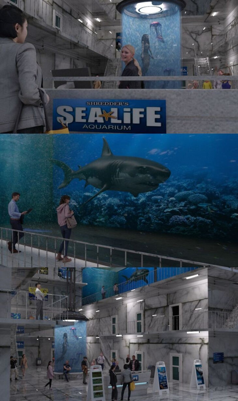 Shredder's Sealife Aquarium Shredder's Sealife Aquarium