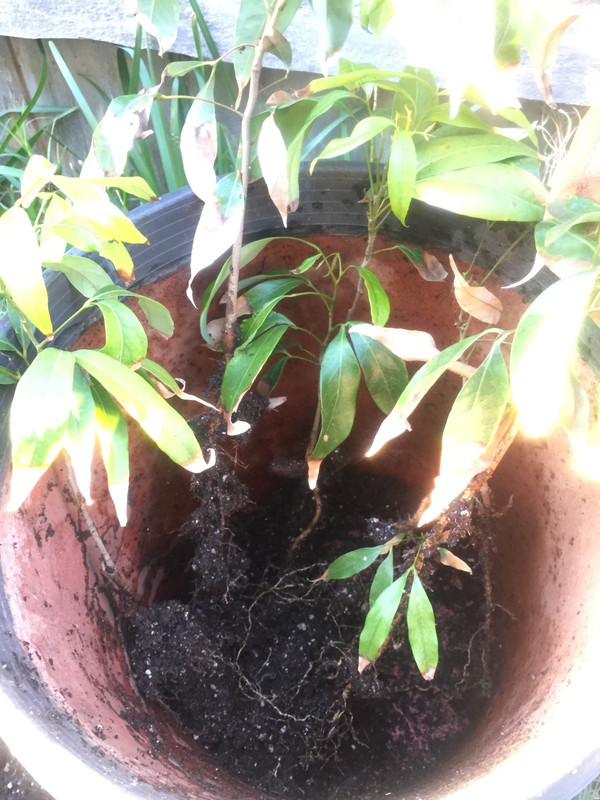 7331FADD-5D83-44C0-B00F-042C2D3993D9