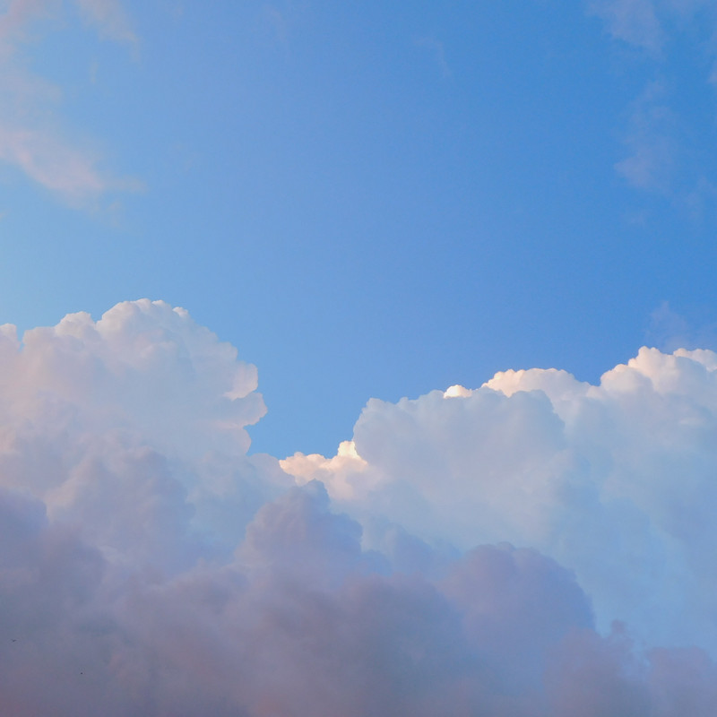 Дачно-Харлинский июнь-июль 2024 320