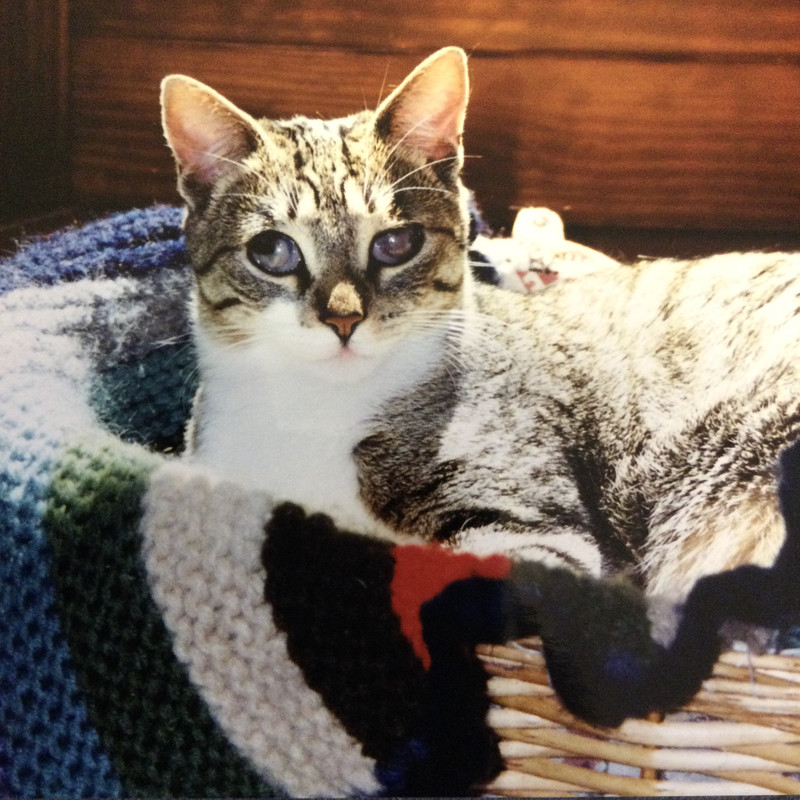 29D27C28-3442-40B2-AFFE-222F059F6B84