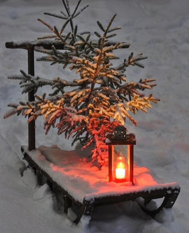 Screenshot_20231108_220755_Instagram