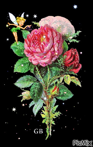 352FBC19-AB2A-43F2-A64E-6BC84DBF4E97