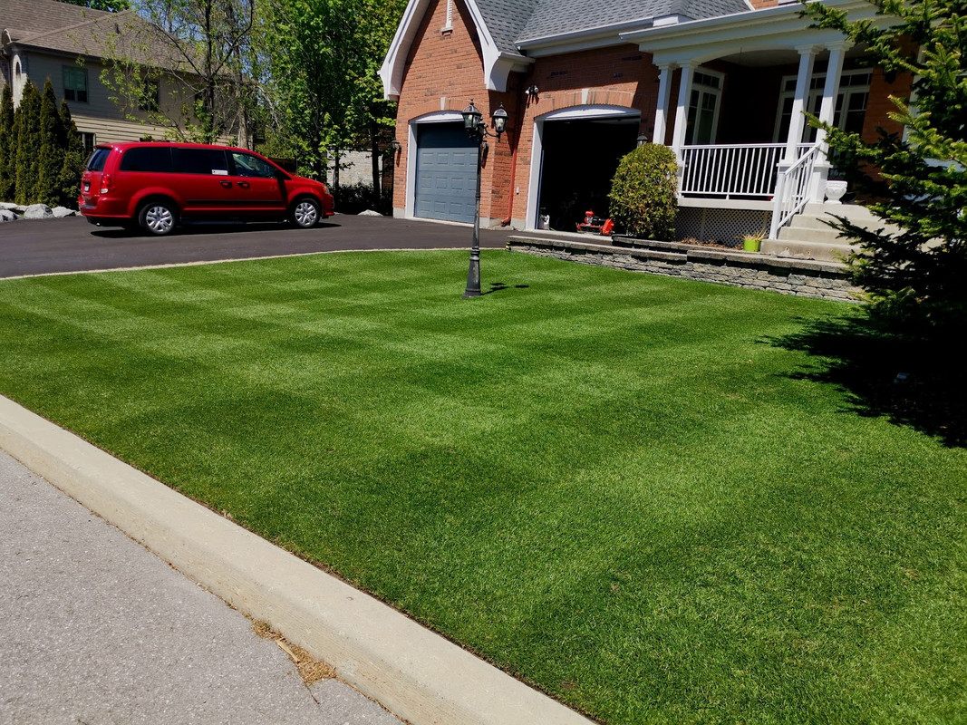 First sand top dressing anything to be aware of | Lawn Care Forum
