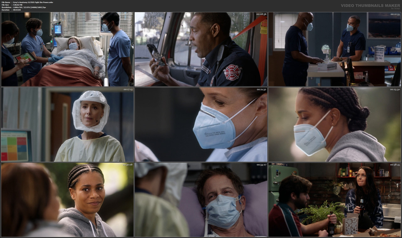 Grey's Anatomy S17E05 Fight the Power.mkv