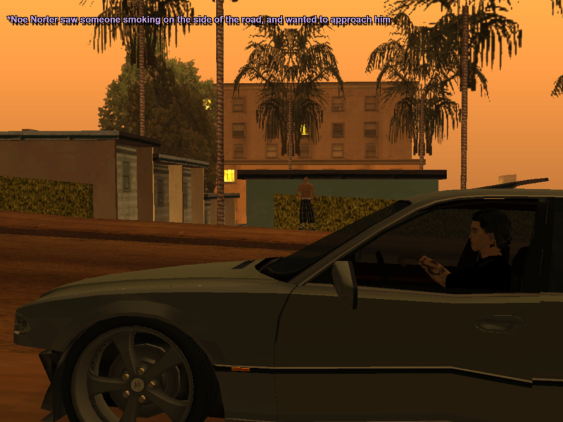 Rohiimatt-SSRP-(1).png
