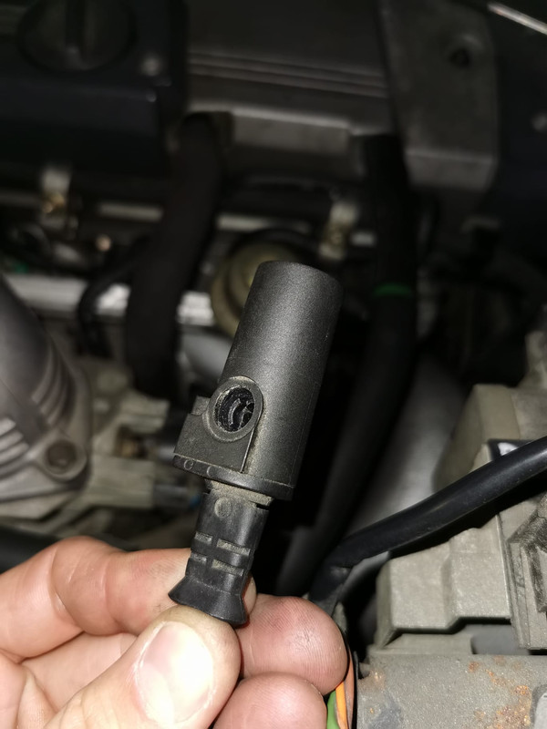 WhatsApp Image 2024-04-20 à 13.14.32_0a647491