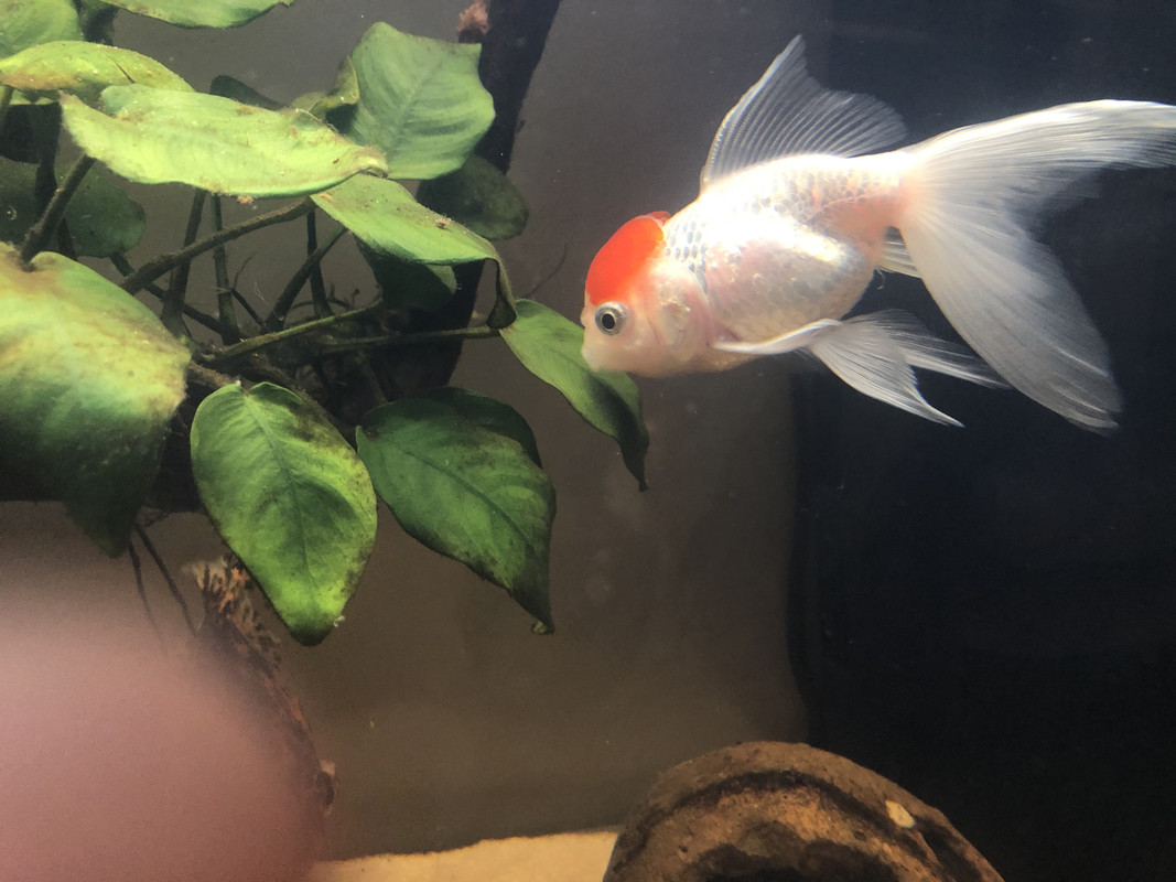 B0144448-5E06-476A-83FF-63719D2AE534