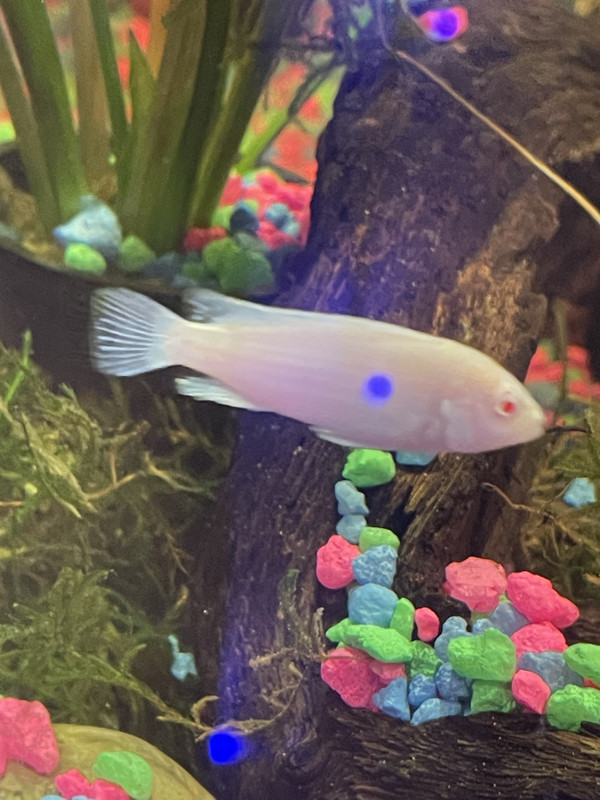 F7CB7610-DA0C-404D-859C-8996AE27B933