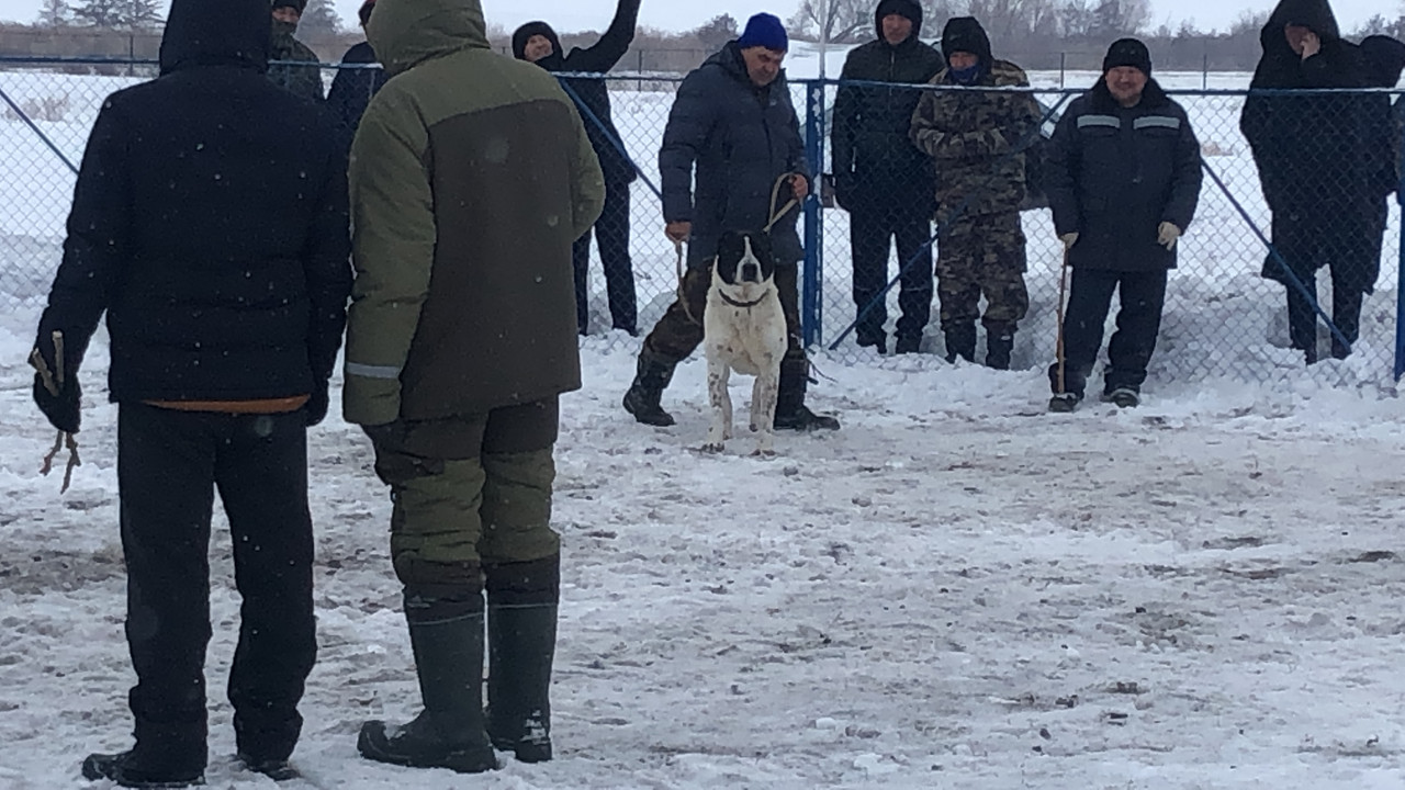 C09D4927-BC46-4B6F-AE71-908DCF98171A