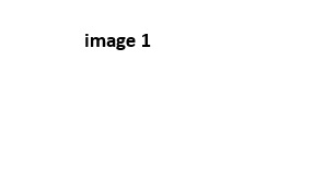image1.jpg