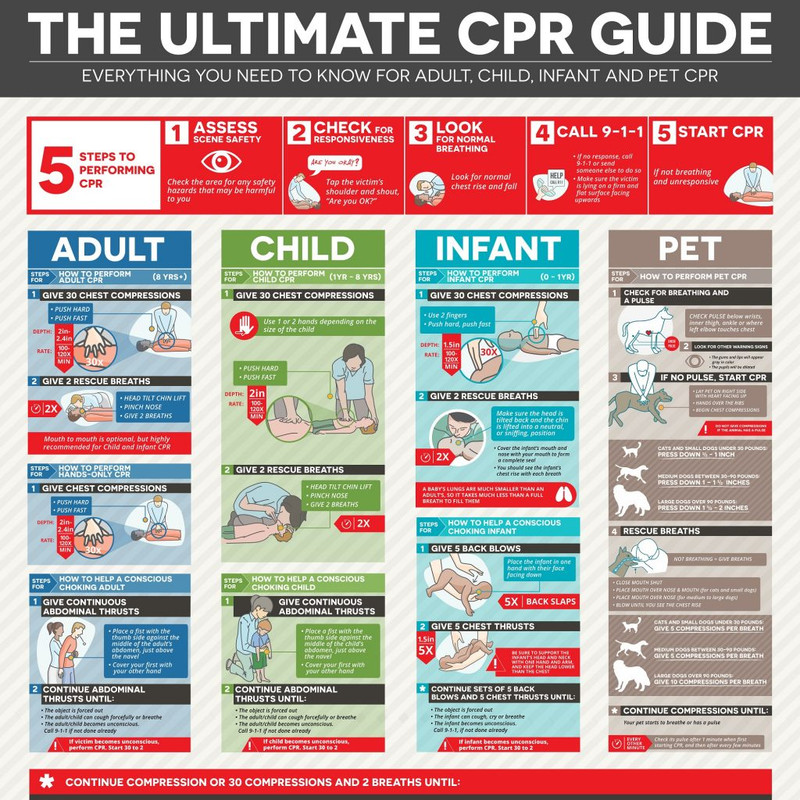Everything You Need to Know for Adult, Child, Infant and Pet CPR
5 Steps to Performing CPR:

Assess Scene Safety

Check the area for any saftey hazards that may be harmful to you.
Check for Responsiveness
Tap the victim’s shoulder and shout, “Are you OK”
Look for Normal Breathing
Look for Normal Breathing
Call 9-1-1
If no response, call 9-1-1 or send someone else to do so
Make sure the victim is lying on a firm and flat surface facing upwards
Start CPR

If not breathing and unresponsive

Steps for How to Perform Adult CPR:

Give 30 Chest Compressions
Push down hard and fast in the middle of the chest, over the breastbone, with one hand on top of the other and fingers interlaced
Press down 2-2.4 inches deep and at least 100-120 compressions per minute
Allow for full chest recoil between each compression
Give 2 Rescue Breaths
Make sure the head is tilted back and the chin is lifted
Pinch the nose shut and cover the victim’s mouth with your mouth to form a complete seal
Blow inside the victim’s mouth for 1 second and check to see if the victim’s chest rises
If their chest does not rise, give another breath
Mouth to mouth is optional, but highly recommended for child and infant CPR
Continue 30 Compressions And 2 Breaths Until
The victim begins to breathe
An AED is ready to use
A trained rescuer arrives
You are too exhausted to continue
Special Considerations for Adult CPR

Depending on the age of the Adult victim, the rescuer may fracture the sternum and/or ribs of the victim when performing CPR
In order for CPR to be effective, the rescuer must push down hard, at least 2 inches deep, on the victim’s chest. Although, this pressure may do harm to the victim such as break bones. The decision to give CPR relies on the rescuer, but physicians suggest that the victim would most likely rather live with broken bones than not live at all

Steps for How to Help a Conscious Choking Adult:

Give Continuous Abdominal Thrusts
Place a fist with the thumb side against the middle of the child’s abdomen, just above the navel
Cover your fist with your other hand
Continue Abdominal Thrusts Until
The object is forced out
The adult/child can cough forcefully or breather
The child becomes unconscious. Call 9-1-1 if not done already

Steps For How to Perform Child CPR (1yr-8yr):

Give 30 Chest Compressions

You can use one or two hands: For one-handed compressions, press down hard and fast on the center of the chest using the heel of your hand
For two-handed compressions, push down hard and fast on the center of the chest with the heel of one hand and place the other over top
Push down about 2 inches deep, giving at least 100 compressions per minute
Allow for full chest recoil between each compression

Give 2 Rescue Breaths

Make sure the head is tilted back and the chin is lifted
Pinch the nose closed and cover their mouth with your mouth to form a complete seal
Blow inside the victim’s mouth for 1 second and look for their chest to rise
If the chest doesn’t rise, give another breath

Steps on How to Help A Conscious Choking Child:

Give Continuous Abdominal Thrusts
Place a fist with the thumb side against the middle of the child’s abdomen, just above the navel
Cover your fist with your other hand
Continue Abdominal Thrusts Until
The object is forced out
The adult/child can cough forcefully or breather
The child becomes unconscious. Call 9-1-1 if not done already

If child becomes unconscious, perform CPR. Start 30 to 2
Steps for How to Perform Infant CPR:

Give 30 Chest Compressions

Using two fingers, push down in the center of the chest, just below the nipple line
Give 30 chest compressions at the rate of at least 100 per minute
Press down approximately 1 1/2 inches deep
Allow for full chest recoil between each compression

Give 2 Rescue Breaths

Make sure the head is tilted back and the chin is lifted into a neutral, or sniffing, position
Cover the infant’s mouth and nose with your mouth to form a complete seal
Give 2 rescue breaths, each 1 second long
You should see the infant’s chest rise with each breath
**A baby’s lungs are much smaller than an adult’s, so it takes much less than a full breath to fill them

Steps for How to Help a Conscious Choking Infant:

** The infant cannot cough, cry or breathe**

Give 5 Back Blows

Place the infant in one hand with their face facing down
Give 5 firm back blows with the heel of one hand between the infant’s shoulder blades
Give 5 Chest Thrusts
Turn the infant over so their face is upwards in one arm with the same hand cupping their head
Place two or three fingers in the center of the infant’s chest just below the nipples and press down onto the breastbone, about 1 1/2 inches deep – 5 Compressions
**Be sure to support the infant’s head and neck with one hand and arm, and keep the head lower than the chest**
Continue Sets of 5 Back Blows And 5 Chest Thrusts Until:
The object is forced out
The infant can cough, cry or breathe
The infant becomes unconscious. Call 9-11, if not done already

Steps For How to Perform Pet CPR:

Check For Breathing And a Pulse

Using your middle and index fingers, check your pet’s pulse below its wrist, inner thigh, below the ankle, or where the left elbow touches the chest
Check pulse below wrists, inner thight, ankle or where left elbow touches chest

Look For Other Warning Signs

The gums and lips will appear gray in color
The pupils will be dilated

If No Pulse, Start CPR

Lay your pet on its right side, with its heart facing upwards
Place your hands over the ribs where its elbows touches the chest
Begin chest compressions (**DO NOT give compressions if the animal has a pulse)

Cats and small dogs under 30 pounds: press down ½ – 1 inch
Medium dogs between 30-90 pounds: press down 1 – 1 ½ inches
Large dogs over 90 pounds: press down 1 ½ – 2 inches

Rescue Breaths

If your pet is not breathing, give rescue breaths
Cats and small dogs: close your pets mouth shut, place your mouth over the nose and mouth, and blow until you see chest rise
Medium to large dogs: close your pets mouth shut, place your mouth over the nose, blow until you see chest rise

Cats and small dogs under 30 pounds: give 5 compressions per breath
Medium dogs between 30-90 pounds: give 5 compressions per breath
Large dogs over 90 pounds: give 10 compressions per breath

5. Continue Compressions And Breaths Until

Your pet starts to breathe or has a pulse
**Check its pulse after 1 minute when first starting CPR, and then after every few minutes