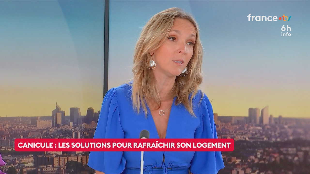 Le 6h info (France 2) 2026 06 20 04 55 67 ts snapshot 23 41 296