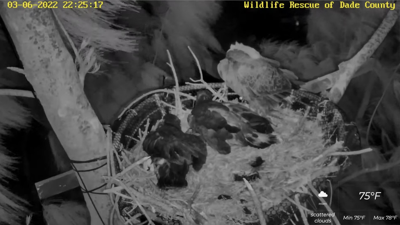 6F088B7A-D9C3-4E0B-A38F-92EF63AC71F8