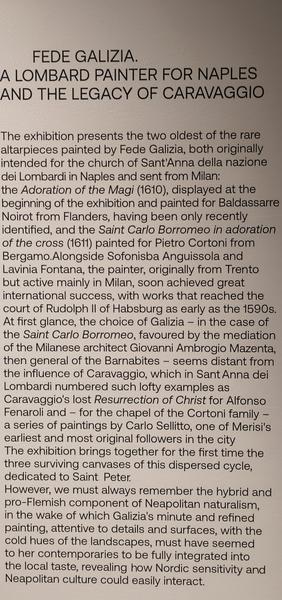 Roma y Nápoles: Bernini, Giorgione y mucho más. - Blogs de Italia - Nápoles: Museo de Capodimonte y Galerías de Italia. (262)