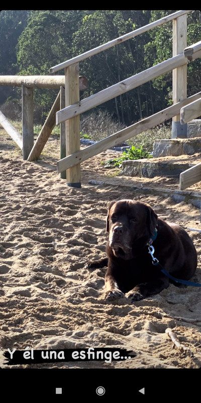 Screenshot_2021-01-15-18-06-21-592_com.instagram.android