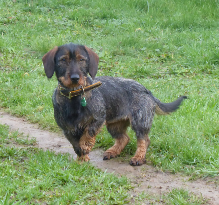 [Image: P1040406.jpg]