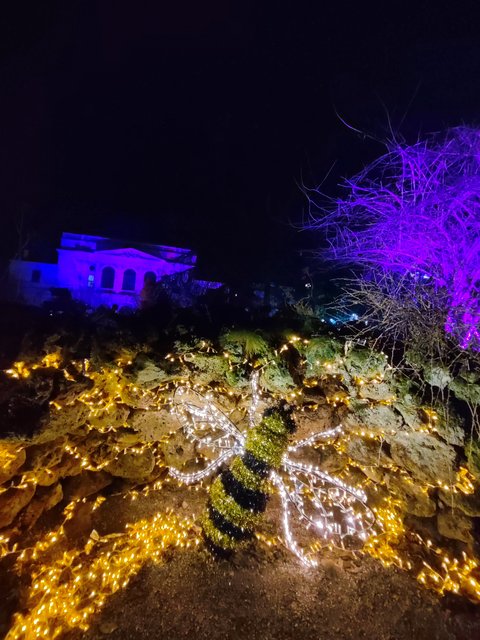 IMG-20240208-191347