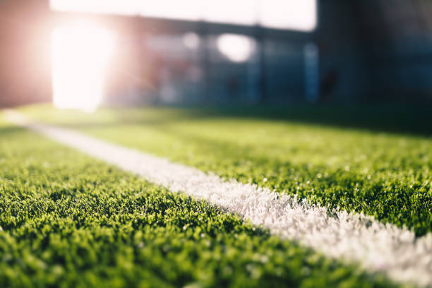 artificial lawn cost