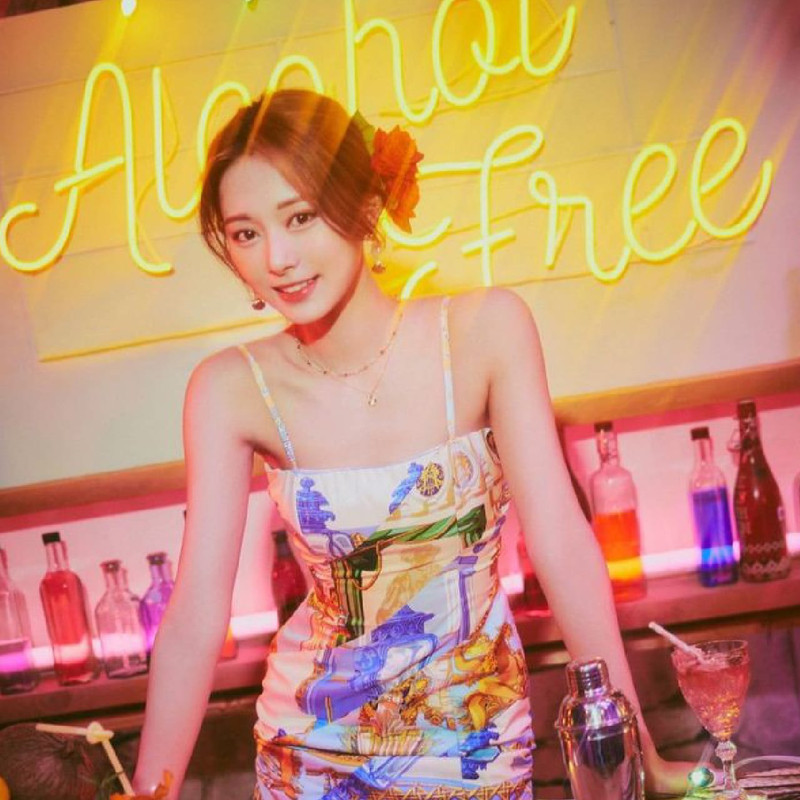 ⌜ alcohol-free ⌝ | Tzuyu | Twice | 쯔위 Minecraft Skin