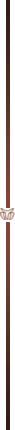 beast-verti-divider.png beast-verti-divider.png