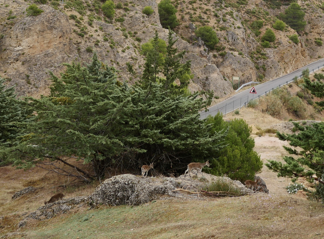 76941BB2-9EF0-49AB-BB0A-ED1700E9A65E