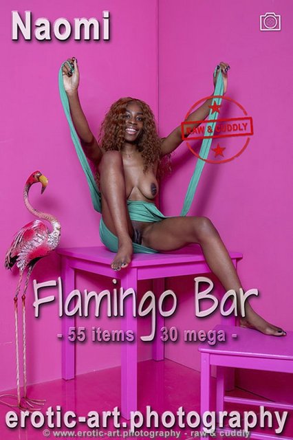Naomi - Flamingo Bar 2023-11-16