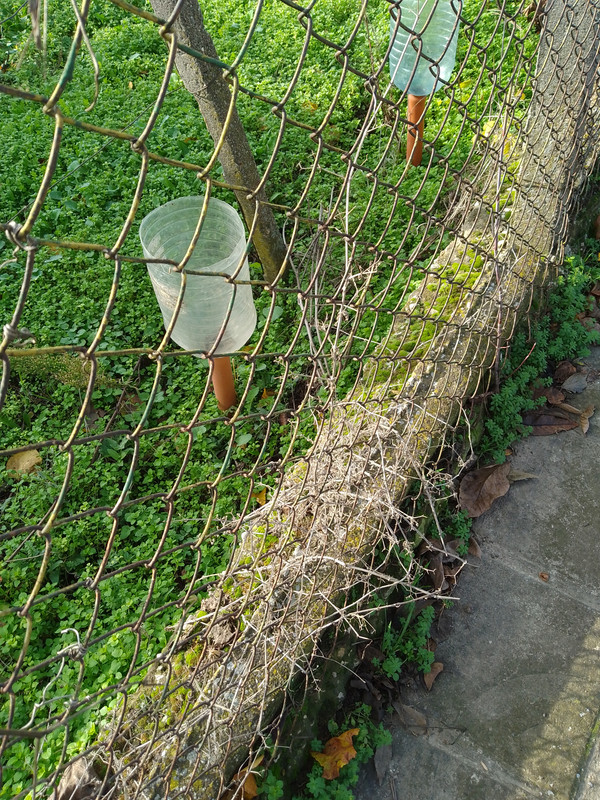IMG 20251202 112727 996 1