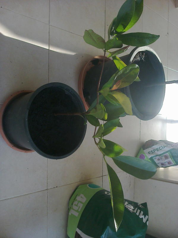 foto0187