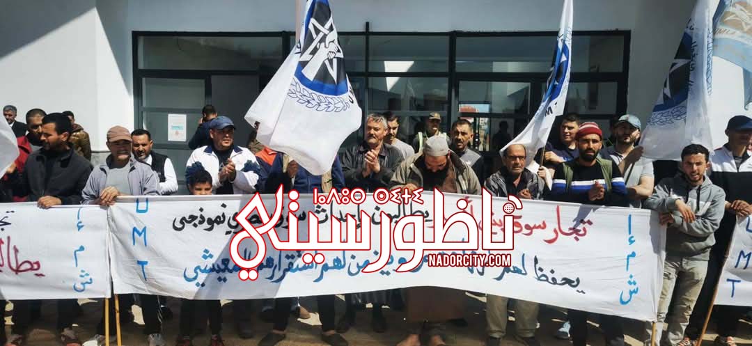 494832992-1367119674413181-2263930659738816980-n