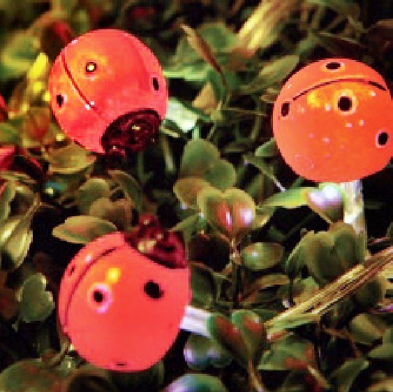 Solar String Light : 60285