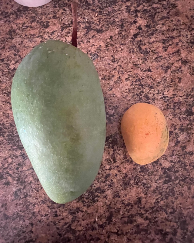 B0EB973D-C6E7-4399-884D-601578B7D8B8