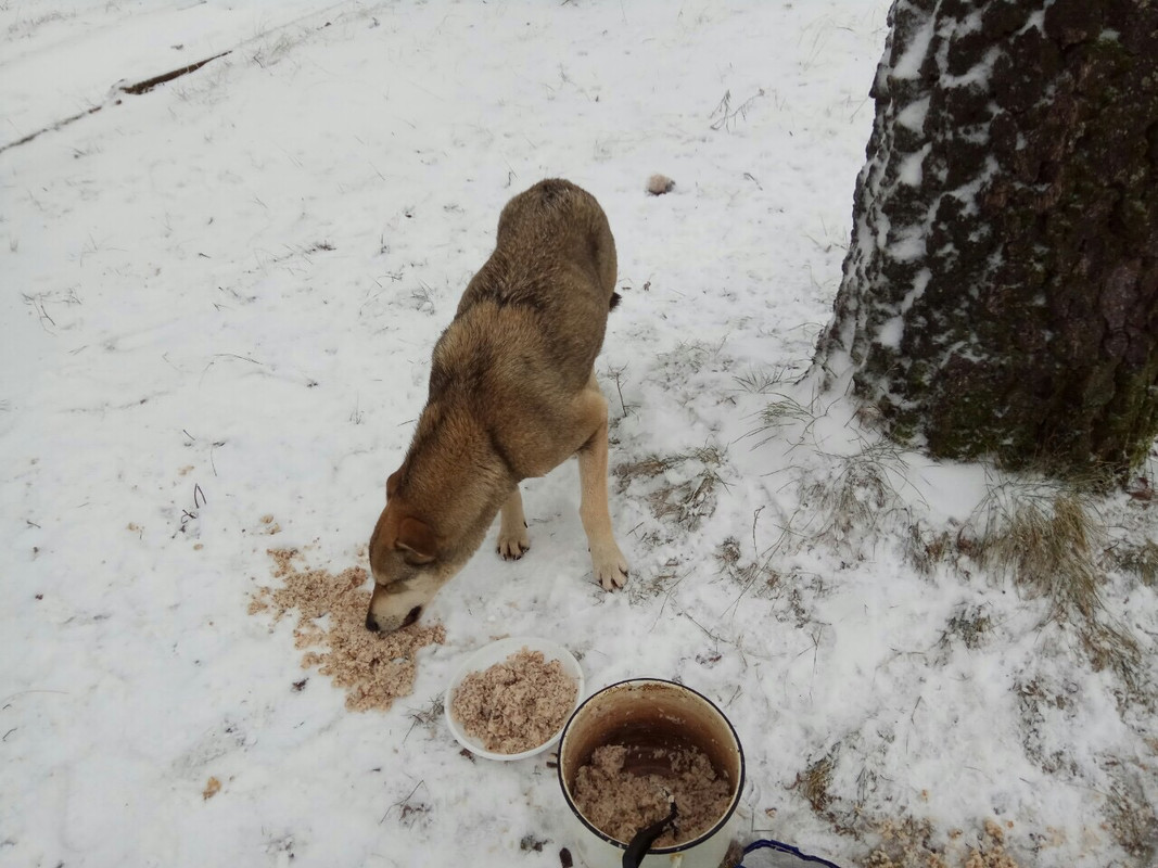 319BB43C-CFBA-45B4-8538-19E1C8231D17