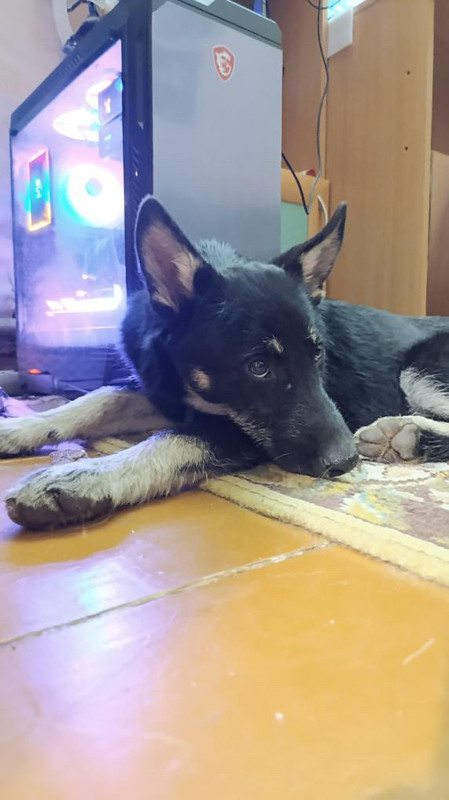 96CA6A7F-6707-4EEA-9580-F4B560A93FE4