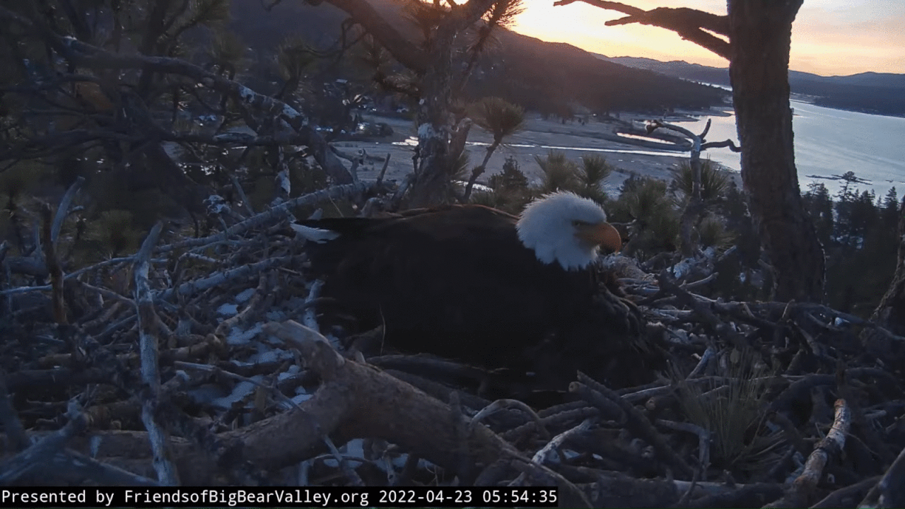 Webp.net-gifmaker (2)